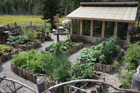 Winners of the Fabulous Food Garden Contest Image